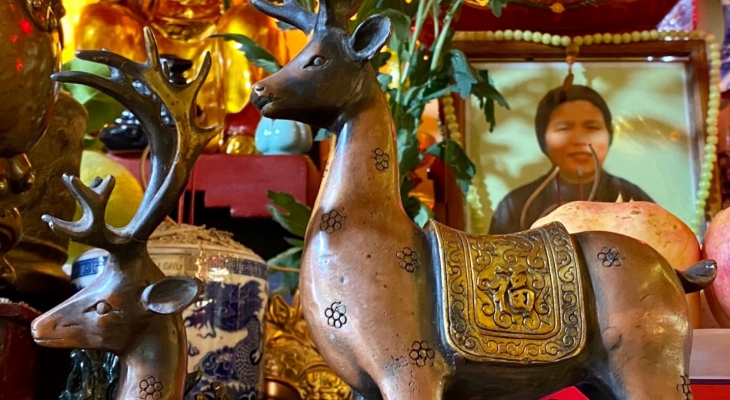 Ý NGHĨA HƯƠU TRONG PHONG THỦY 